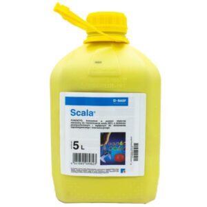Scala 5l BASF