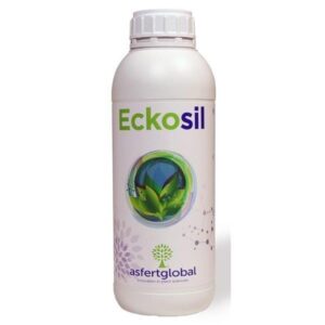 Eckosil 1l krzem formie kwasu ortokrzemowego