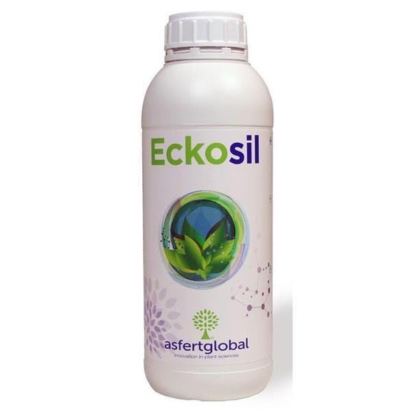 ecko 1