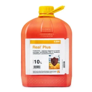 Real Plus 10L zaprawa (odpowiednik Kinto Plus)